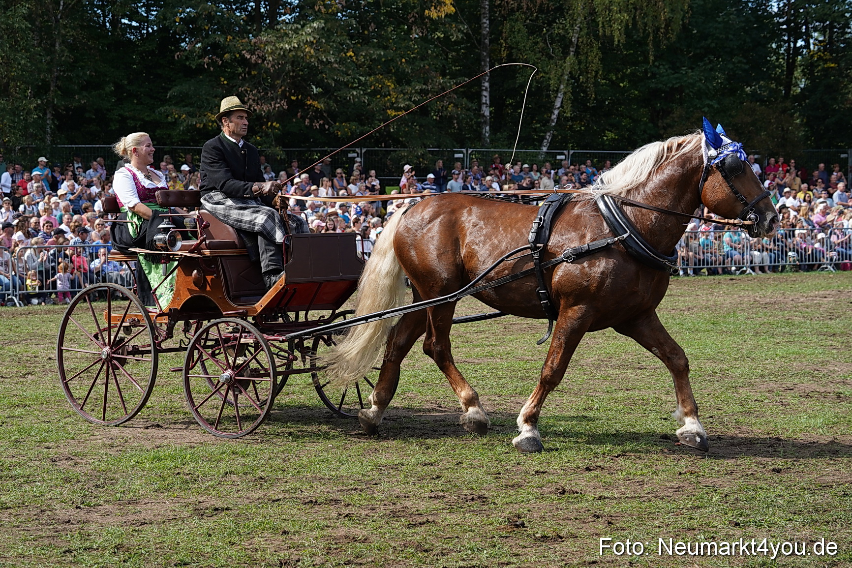 Pferde und Fohlenschau 2022 0249 